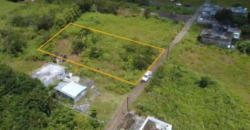 RESIDENTIAL LAND FOR SALE IN NEW GROVE – AN OPPORTUNITY TO BUILD YOUR FUTURE HOME!