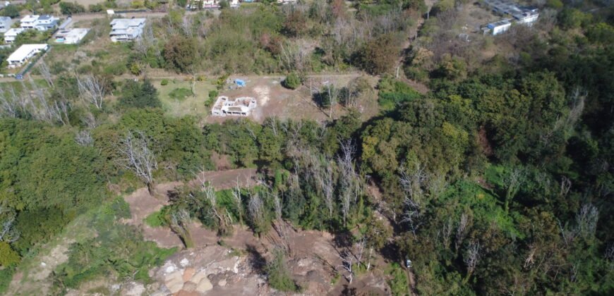 Prime Land for Sale in La Mivoie, Black River