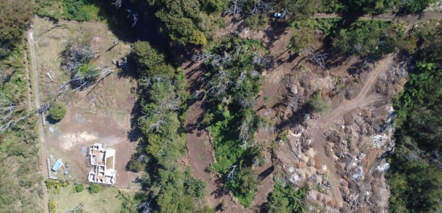 Prime Land for Sale in La Mivoie, Black River