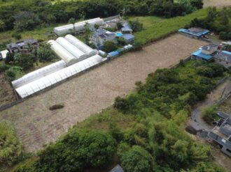 Residential Land for Sale in New Grove – 35.69 Perches