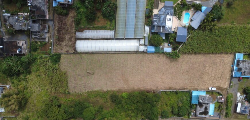 Residential Land for Sale in New Grove – 35.69 Perches