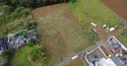 2 residential plots for sale in Union Park