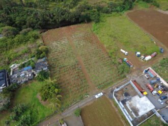 2 residential plots for sale in Union Park