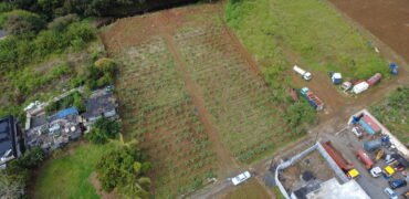 2 residential plots for sale in Union Park