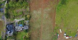 2 residential plots for sale in Union Park