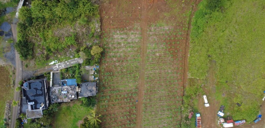 2 residential plots for sale in Union Park